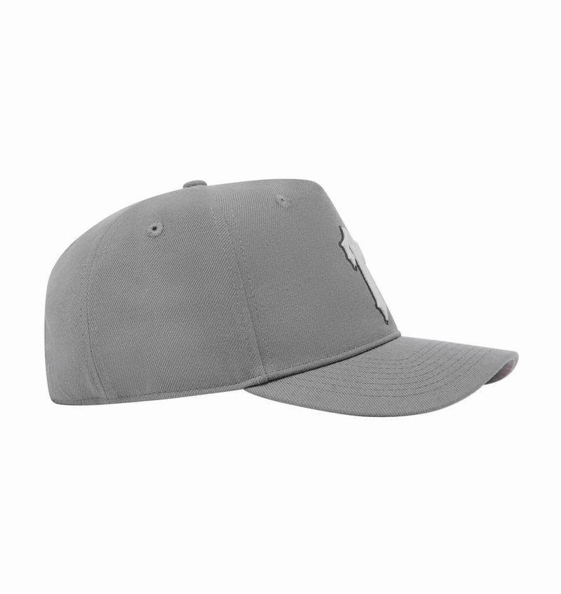 Czapki Męskie Trapstar Irongate T Summer Series Strapback Szare | ZXWSTP-471