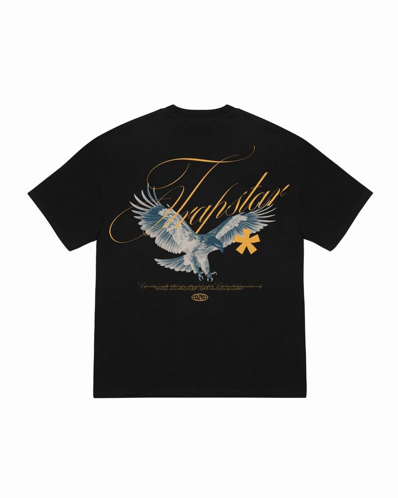 Koszulki Męskie Trapstar Flying Birds Tee Czarne | LWPTRE-476